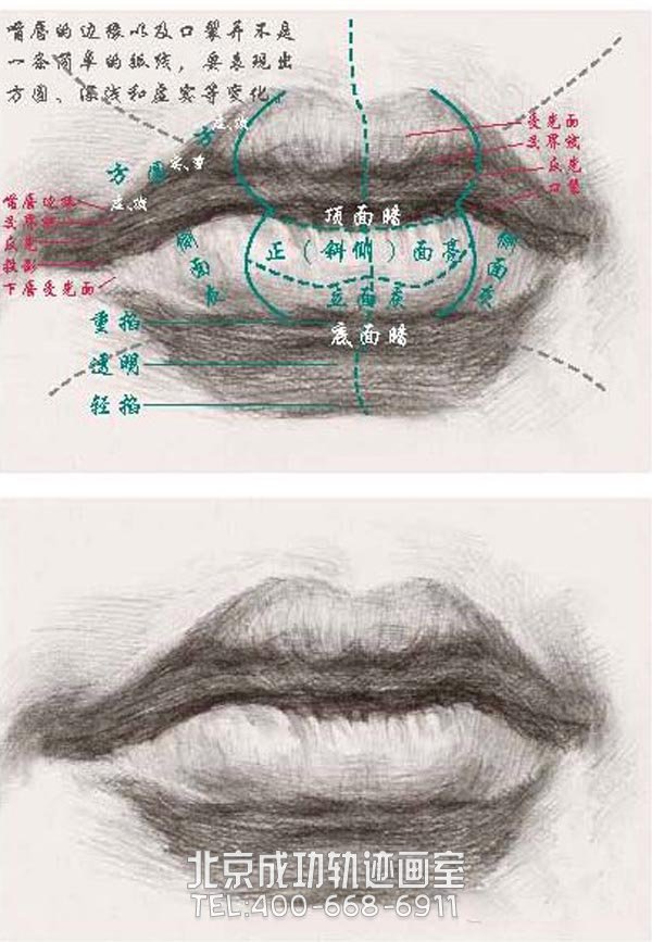 素描嘴唇的畫(huà)法圖解7