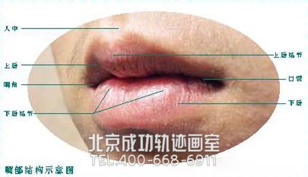 素描嘴唇的畫(huà)法圖解9