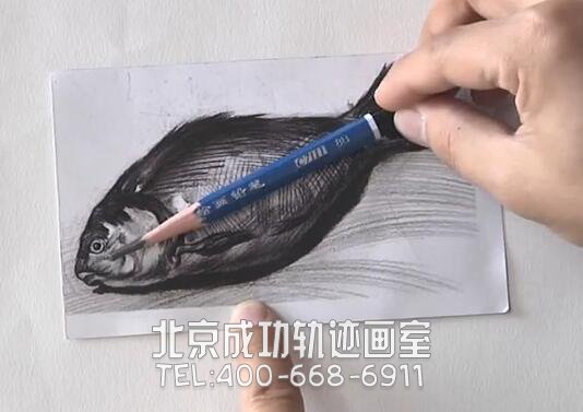 魚素描畫教程