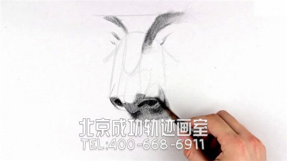 素描鼻子畫法步驟圖片教程